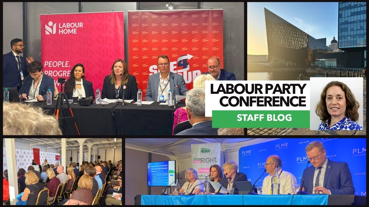 RosinaStaffBlogLabourPartyConference2027BPCA1 RosinaStaffBlogLabourPartyConference2027BPCA1